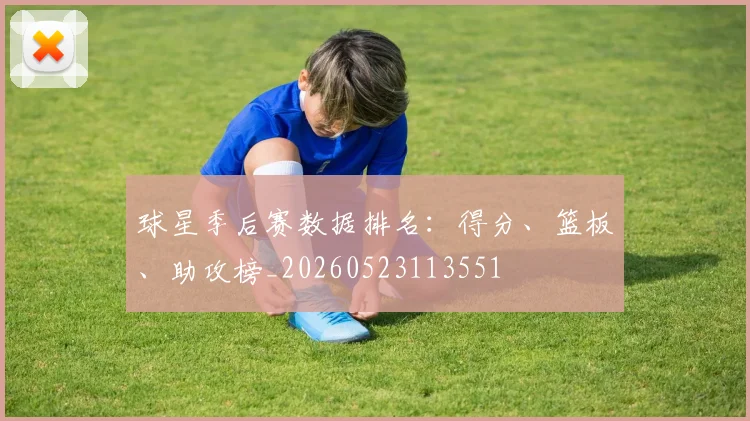 球星季后赛数据排名：得分、篮板、助攻榜_20260523113551