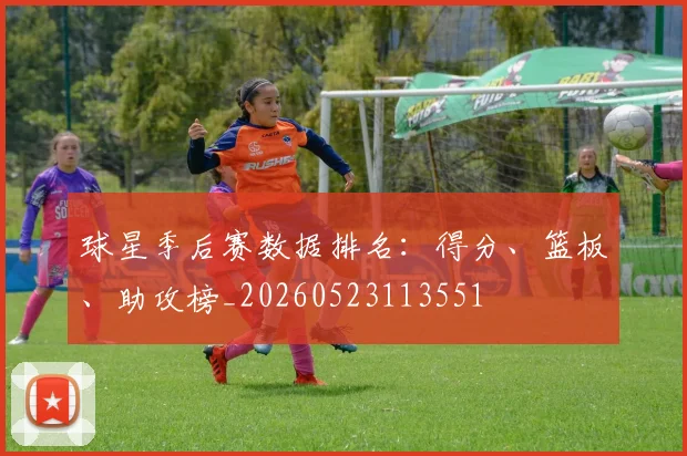 球星季后赛数据排名：得分、篮板、助攻榜_20260523113551
