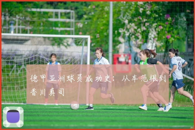 德甲亚洲球员成功史：从车范根到香川真司